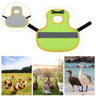 Reflective Chicken Duck Vest Night Protection Clothing Pet Poultry Harness Leash