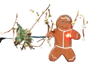 Wood Gingerbread Boys String of Christmas Lights 36 inch Garland - Picture 1 of 3
