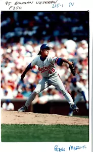 Pedro Martínez 1995 Bowman #350 Topps Bóveda Tipo 1 Original Fotos únicas - Imagen 1 de 6