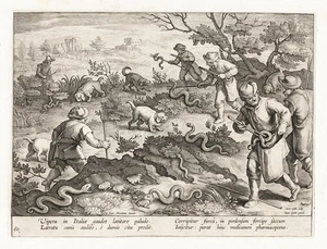 Caccia al serpente Vipera serpente caccia Stradanus Venationes Ferarum incisione su rame 1578 - Foto 1 di 1