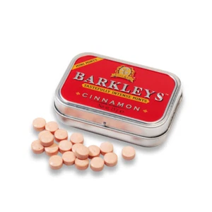 Barkleys Mini Mints Pastillen mit Zimt Geschmack Zuckerfrei 15g - Picture 1 of 1