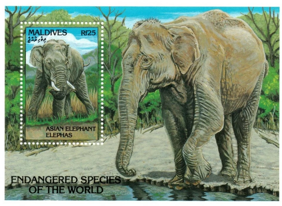 CLÁSICOS DE COLECCIÓN - Maldivas 1866 - Elefantes en peligro de extinción - Hoja de recuerdo - MNH Foto 1 de 1