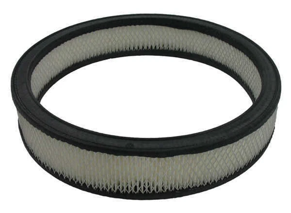 Filtro de aire compatible con Mercury Marquis Cougar Cougar 1969-1978, Montego Pentius Automot Foto 1 de 2