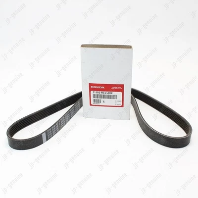 Cinturón alternador serpentino original HONDA Passport/Acura MDX 31110-RLV-A02 Foto 1 de 4