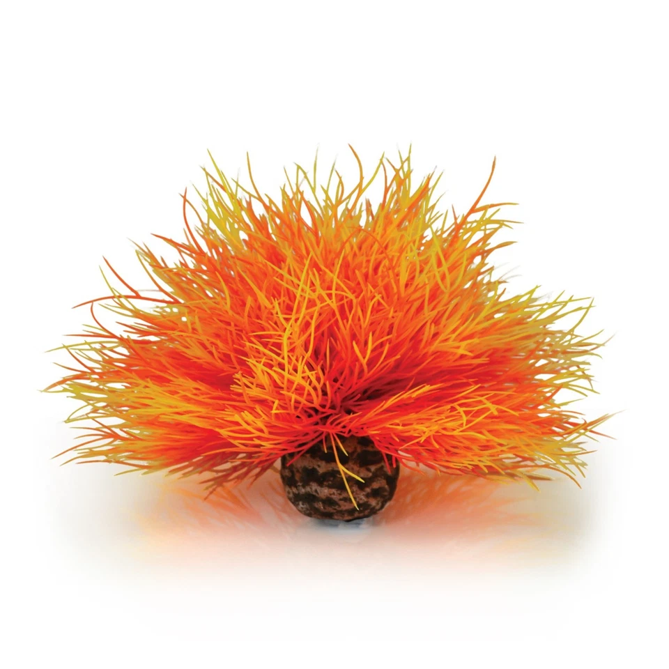 Lirio de mar naranja Oase Livingwater BiOrb. Nuevo. Foto 1 de 1