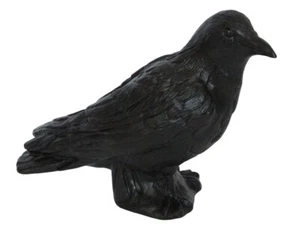 Figura de Jardín Cuervo Espantapájaros Animal Plástico Rabenvogel H 26 CM - Imagen 1 de 4