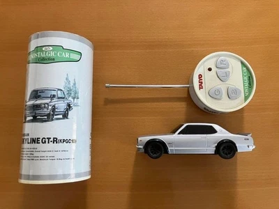 Taiyo Radicon Skyline GT-R - Bild 1 von 4