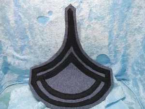 West Point Type Cadet Chevron Military Patch - Picture 1 of 1