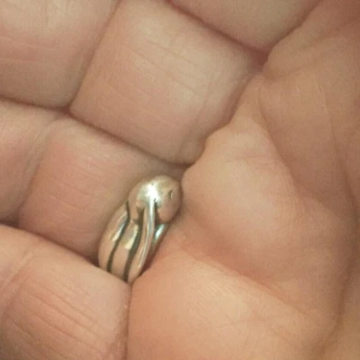 Anillo de conejo de plata esterlina I Love You to the Moon & Back joyería talla única Foto 1 de 4