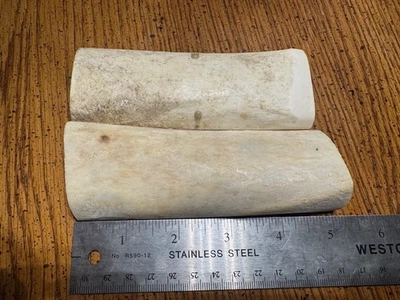 HERMOSO MATERIAL DE MANGO DE CUCHILLO DE HUESO NATURAL ESCALAS EN BLANCO Foto 1 de 4