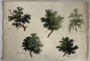 Antique Watercolour painting sketch book page tree studies oak ash birch - Picture 1 of 4