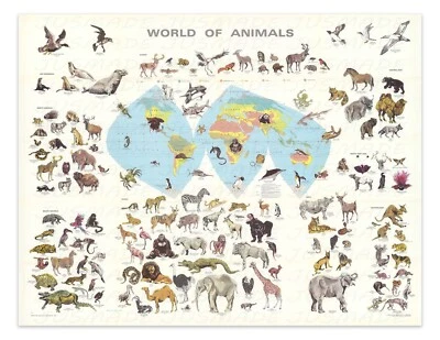 WORLD OF ANIMALS Species Map Chart 1970 Vintage Illustration -Unframed- Print - Image 1 of 4