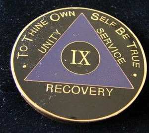 Purple Alcoholics Anonymous 9 Year SYMBOL BACK Medallion Coin Token Chip Sober - Picture 1 of 2