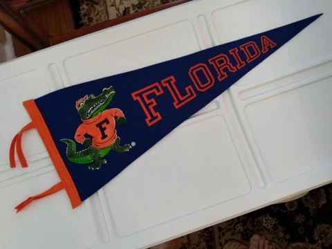 Florida Gators Pennant, 9 x 23" Cover