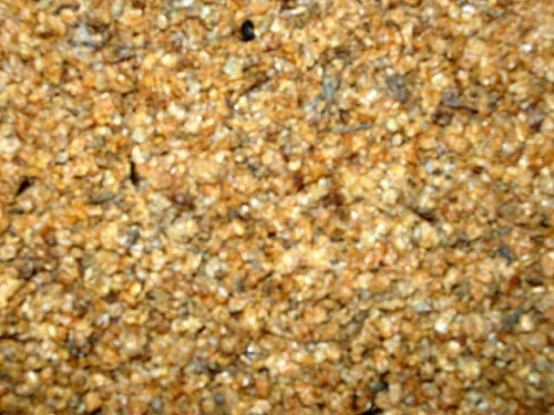 AQUARIUMPFLANZEN.NET Wasserflöhe Daphnien 250ml, Fischfutter