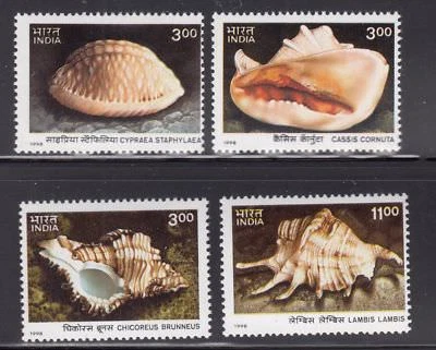 India 1998 Sea Shells stamp set International Year of Ocean Andaman & Nicobar Is - Image 1 of 3