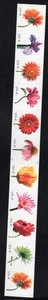 2007 41 cent Flowers Plate number coil Strip of 11, #P2222, Scott 4166-4175, NH - Picture 1 of 1