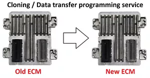 E38 ECM PCM Engine Computer GM Chevrolet Buick Cadillac Cloning / Data transfer - Picture 1 of 4