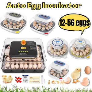 12/18/24/56 Egg Incubator for Chicken Eggs Automatic Egg Turning 360° View Gift - Picture 1 of 66