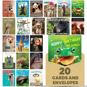 Wildly Funny - Made In USA - 20 Assorted Cards with Envelopes All Occasion, B... - Picture 1 of 9