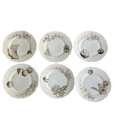 New listing
Haviland & Co Limoges (1876-1889) Six 8.5â Plates With Fruit Transfer