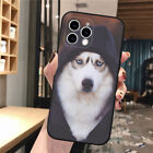 Funny Cute Husky Dog Series Cover Case For Iphone 15 14 13 12 11 Pro Max Plus