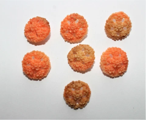 7 vintage celluloid orange flower 3/4" buttons Cover