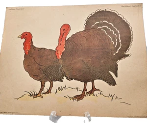 Vintage 1930 Turkey Pre-Primer Picture Card The Childrens Own Readers - Picture 1 of 7