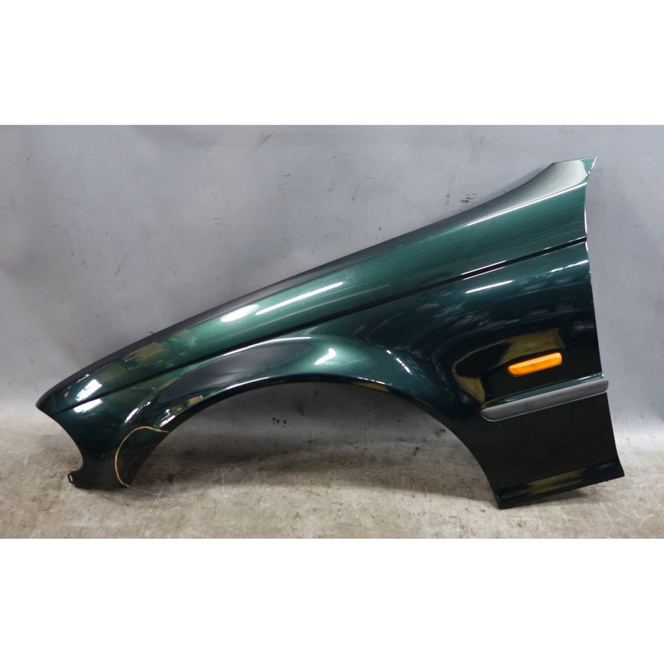 Panel guardabarros delantero izquierdo BMW E46 99-01 serie 3 4 puertas verde Oxford OEM dañado Foto 1 de 4