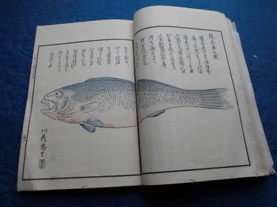 LIBRO JAPONÉS IMPRESO EN MADERA KASHINO SHIZUE ENSAYOS VARIOS TEMAS EDO TARDÍO Foto 1 de 4