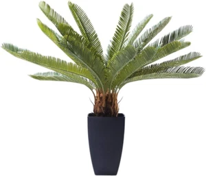 Design Pianta Decorativa Cycas Tree, 78Cm, Con Molti Dettagli, Stile Esotico Giu - Foto 1 di 12