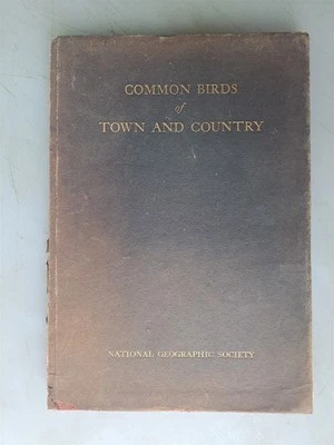 Common Birds of Town and Country - 1915 Color Illustrated National Geographic  - Image 1 of 4