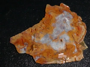 Cola de gallo riolita* losa-4 3/8 x 3 5/8"-- áspera, cable--exhibición Geología - Imagen 1 de 3