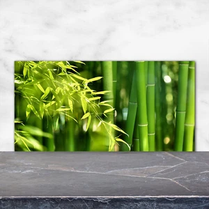 Küchenrückwand Spritzschutz aus Glas 120x60 Deko Blumen & Pflanzen Bambus - Bild 1 von 5