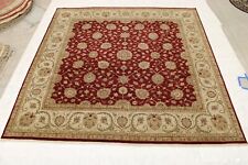 11'9" x 11'11" ft. High Twist Design Vegetable Dye Hand Knotted Traditional Rug