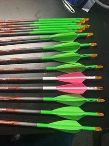 15 Black Eagle Rampage 300 Spine .001 Cut To 26” Carbon To Carbon - Picture 1 of 4