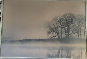 Ikea BJORKSTA Misty Landscape Picture 55" x 39 ¼" (No Frame)  - New 404.798.53