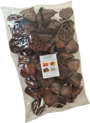 Cabezales/vainas de loto secas medianas - Paquete de 10 - Imagen 1 de 2