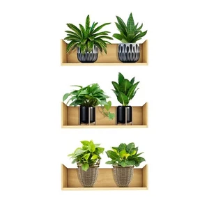 3D Green Plants Wall Stickers Botanical Plants Wall Decals for Bedroom Living... - Picture 1 of 7