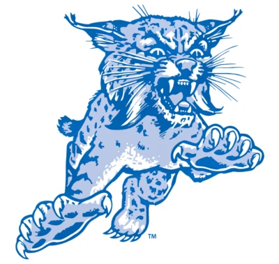 SSSCO Kentucky Wildcats NCAA Weather Resistant Vinyl Die Cut Sticker Decal 08