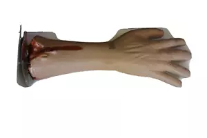 Brazo cortado de plástico de 15" - utilería de Halloween casa embrujada parte del cuerpo sangriento - Imagen 1 de 3