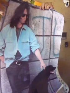 Jim Morrison Doors home *POSTER/PHOTO WITH HIS DOG & FREE TOUR BROCHURE* - Picture 1 of 5