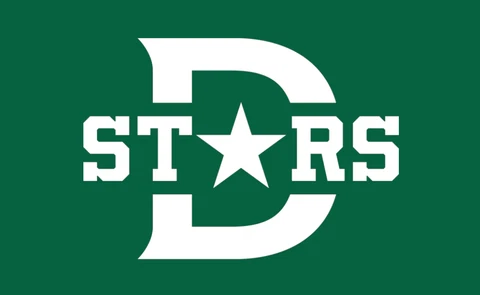 Dallas Stars Flag 3x5ft Banner Polyester Ice Hockey Stanley Cup stars006 Cover