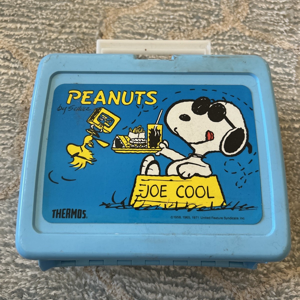 Snoopy Lunch In Collectible Plastic Lunchboxes (1970-Now