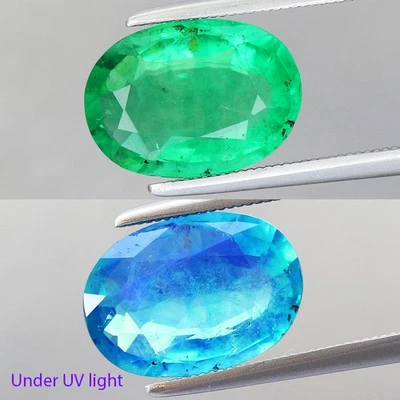 2.95ct Oval 9.31x8.01mm Natural Caribbean Green Fluorite - Glow Under UV Light - Image 1 of 4