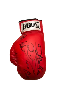 MINTER DUNN MAGRI GREEN MULTI SIGNED EVERLAST BOXING GLOVE SEE PROOF & COA - Picture 1 of 2