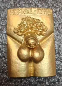 Fridge Magnet Florence Firenze David Penis Italy Statue of David Naked - Picture 1 of 6