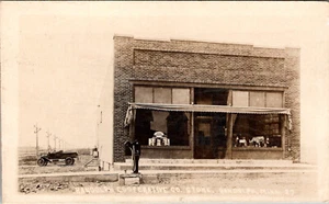 MINNESOTA - RANDOLPH COOPERATIVE CO TIENDA - 1920 - ANTIGUA POSTAL CON FOTO REAL - Imagen 1 de 2