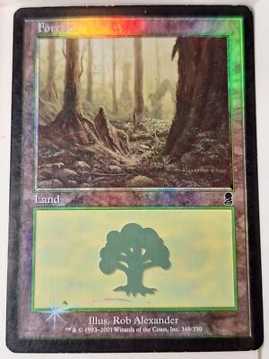 Forest 348 - (MP) FOIL - Odyssey - Magic the Gathering MTG Nice! - Image 1 of 3