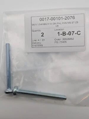 Life Fitness LifeFitness 激活 LR OSR 螺钉 55 毫米 2-PK 0017-00101-2076 — 第 1/2 张图片